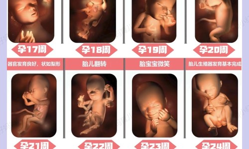 【肠胃不好吃什么药最好有效】肠胃不好吃什么食物好 - 肠胃不好喝茶好吗网