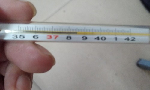 肠胃不好怎么调理最快最有效-【肠胃不好吃什么药最好有效】肠胃不好吃什么食物好 - 肠胃不好喝茶好吗网